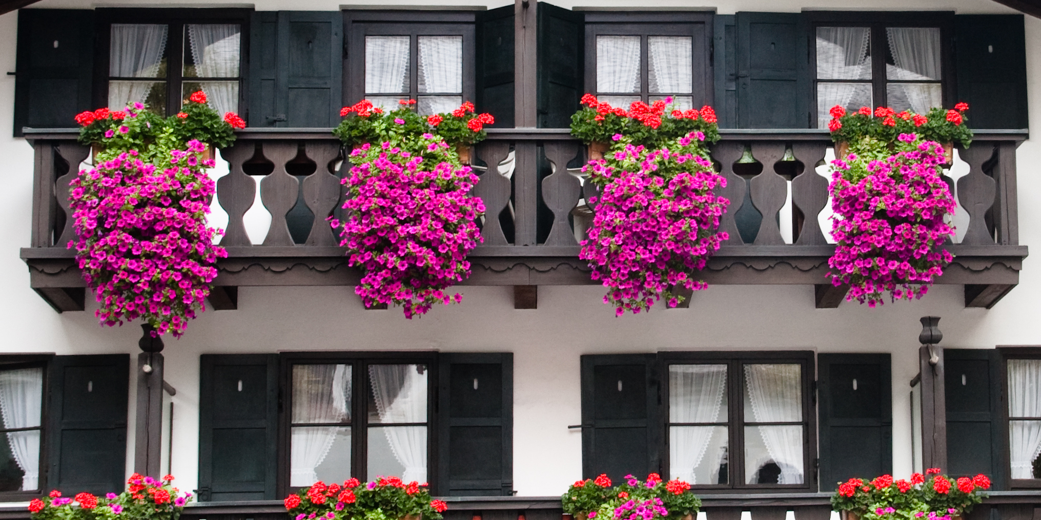 Fassade mit Balkonfront im Bauernhausstil mit roten und violleten Balkonblumen.