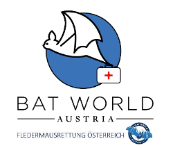 Logo Fledermausrettung Österreich