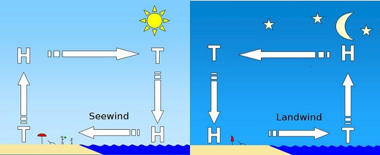 Grafik wie Seewind und Landwind entsteht