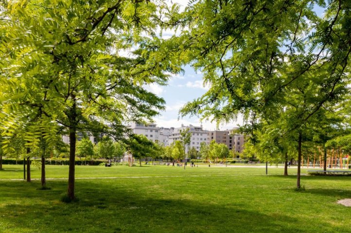 Rendering Umgestaltung Naschmarkt Parkplatz: große Grünfläche mit Bäumen