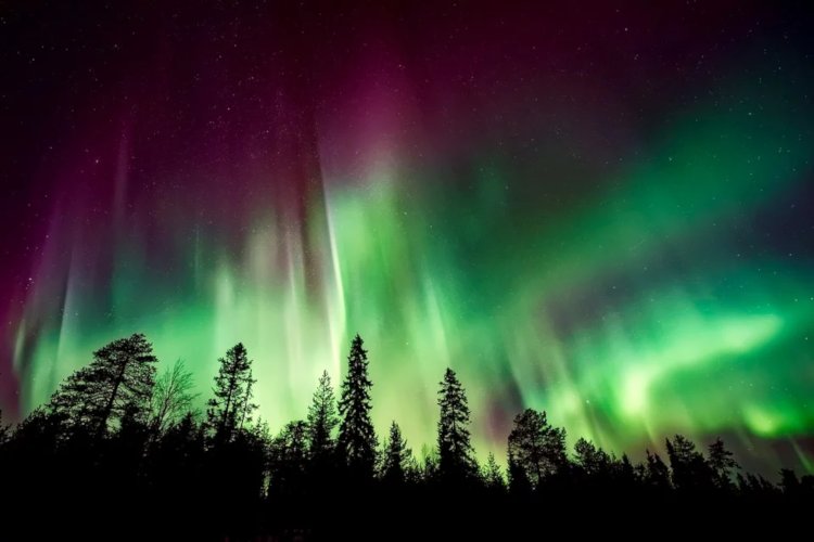 Aurora Borealis oder Nordlichter. Ein typisches Phänomen der Polarnacht.